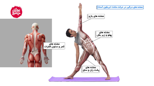 مثلث ساده مقدماتی